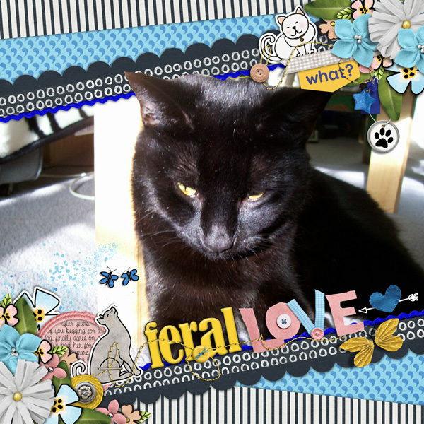 Feral Love