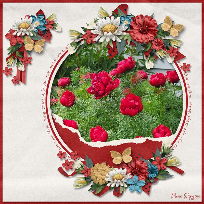 Fern Peony