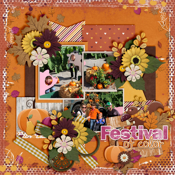 Festival-Of-Color