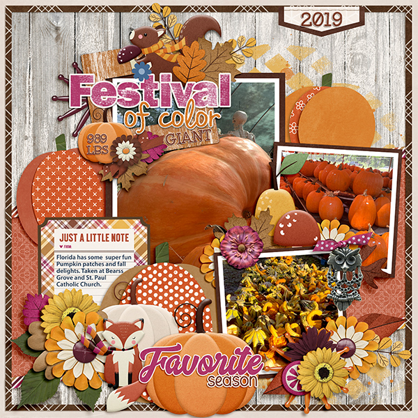Festival of Color