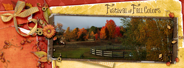 Festival of Fall Colors_FBTimeline Cover