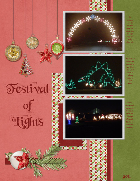Festival of Lights 2014