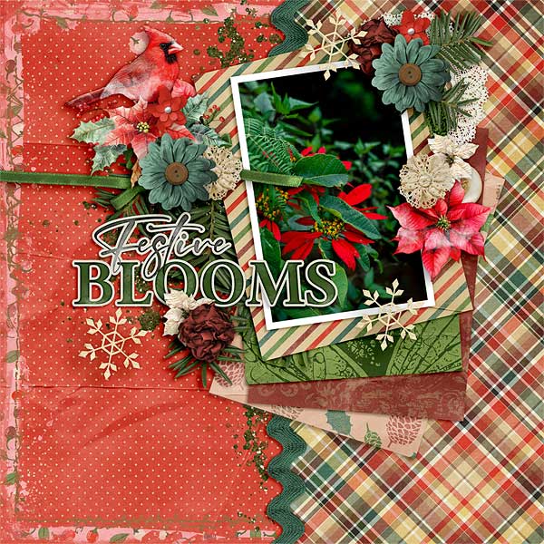 Festive Blooms