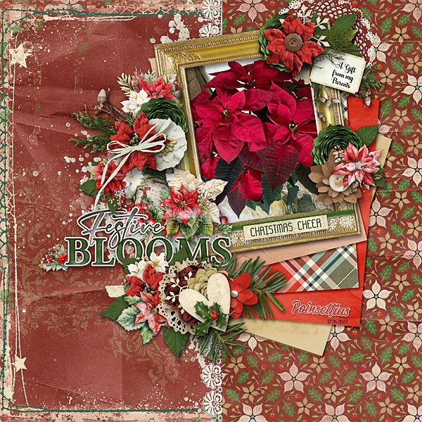 Festive Blooms