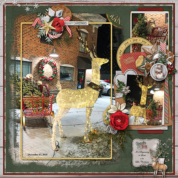 Festive Display