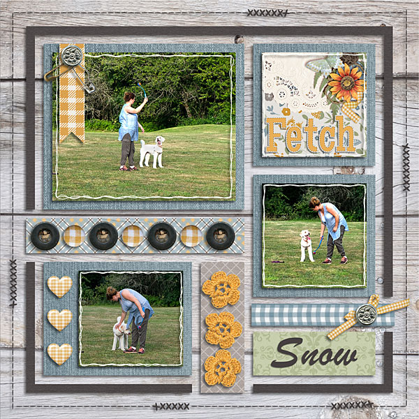 Fetch