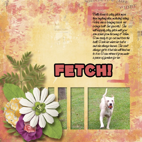 Fetch