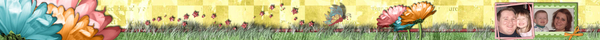 FF banner attempt