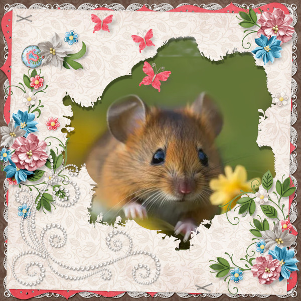 Field Mouse