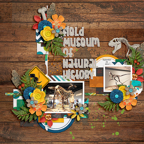 Field Museum