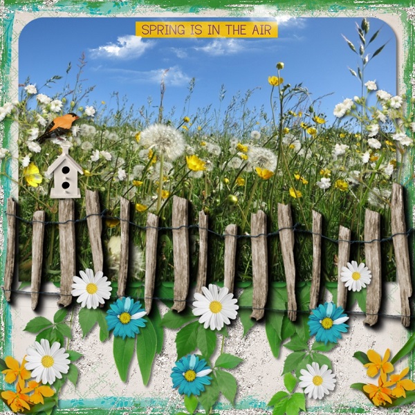 Field of Flowers