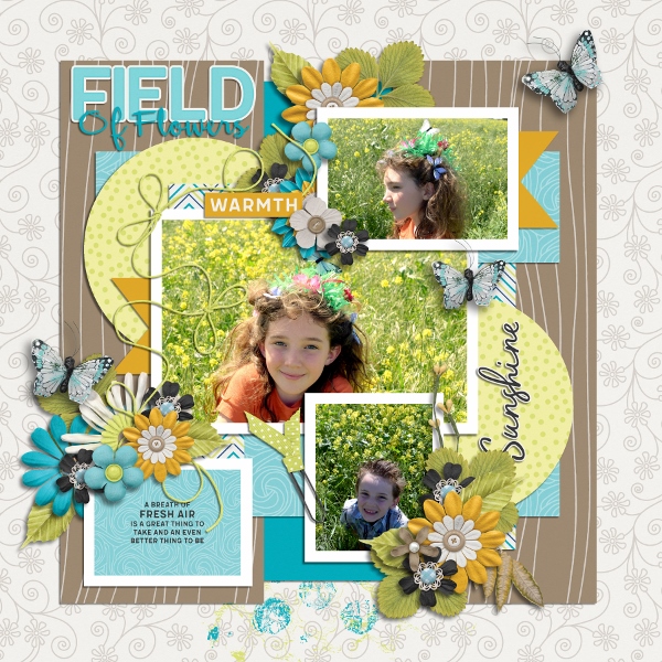 Field of Flowers