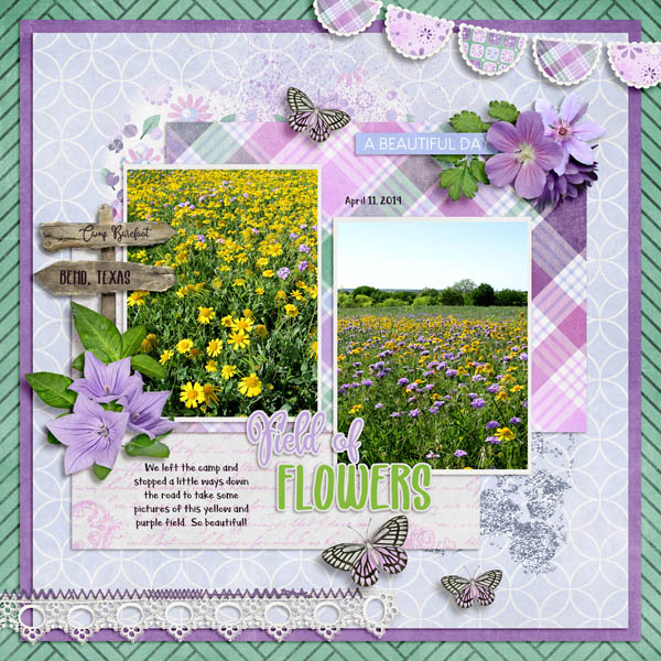 Field of Flowers