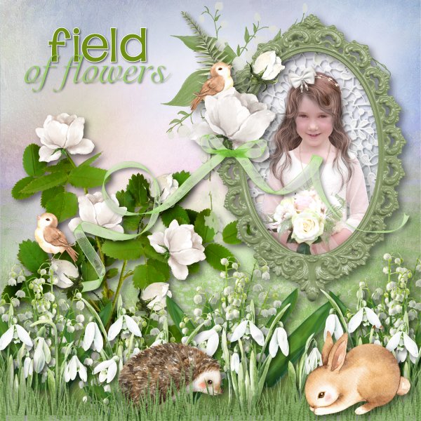 field of flowers