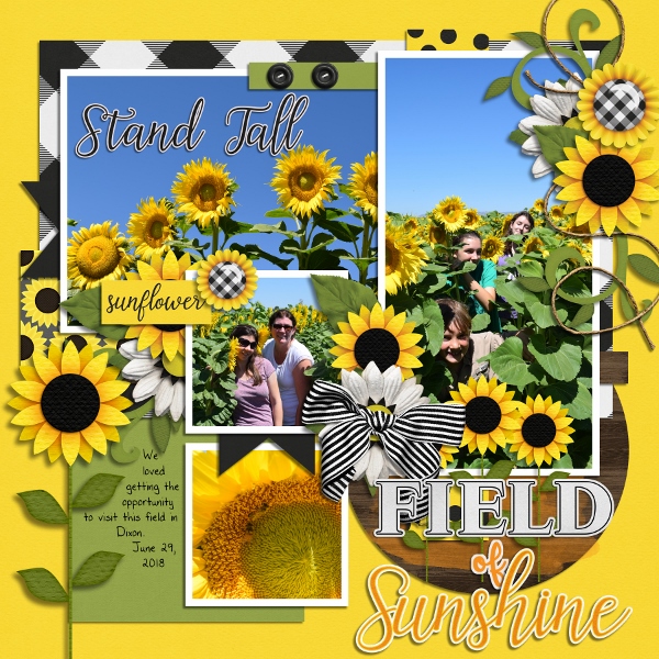 Field of Sunshine