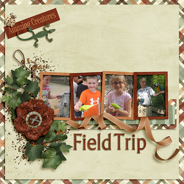 Field Trip