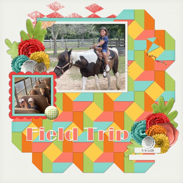 Field Trip
