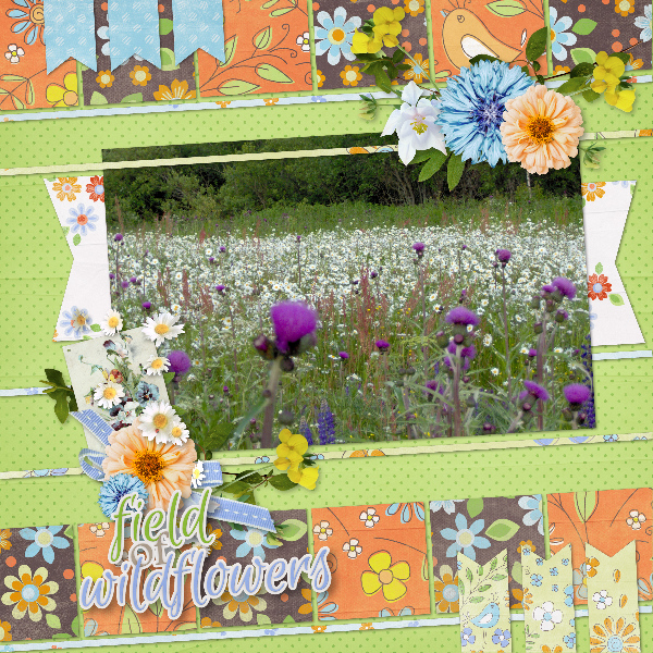field_of_wildflowers