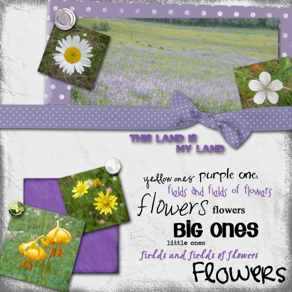 fields of flowers