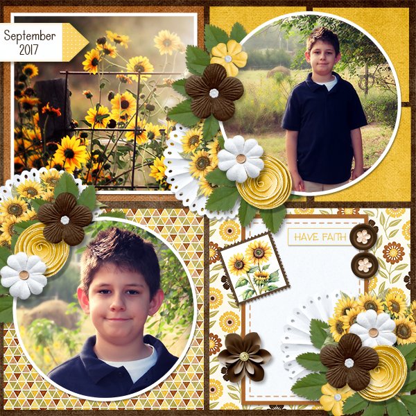 Fields of Flowers