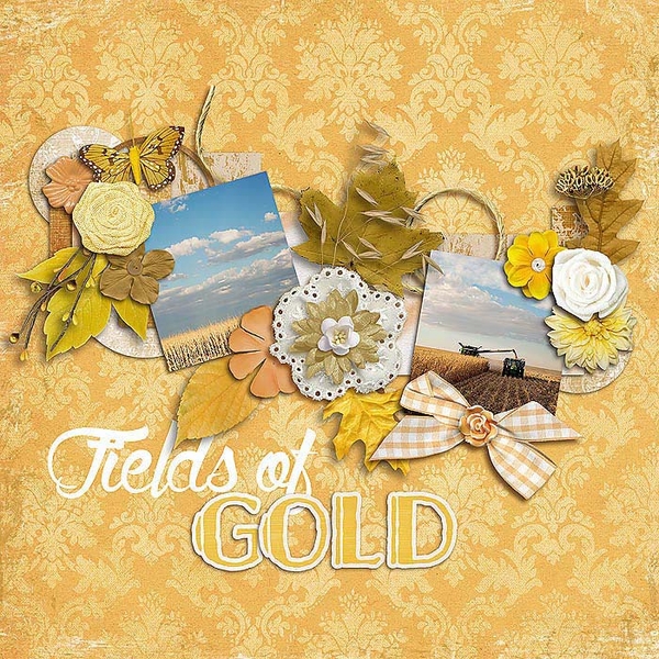 Fields of Gold