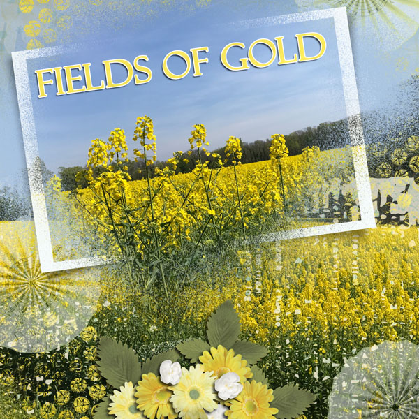Fields of Gold