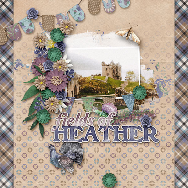 Fields of Heather