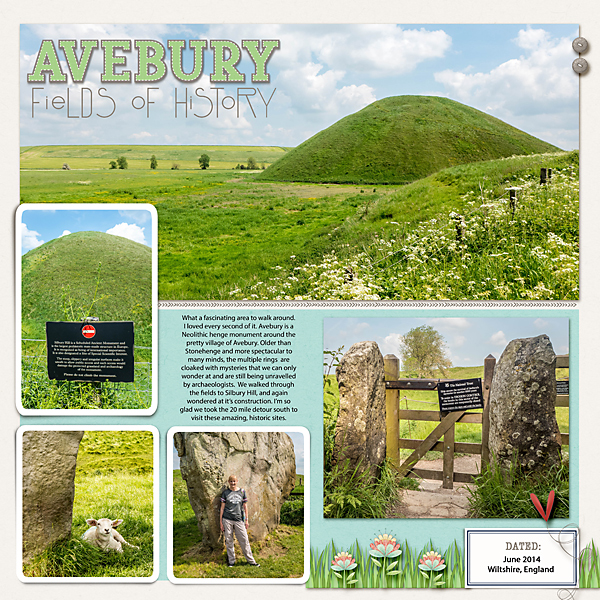Fields of History