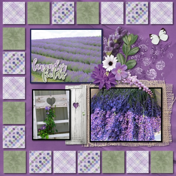 Fields of Lavender