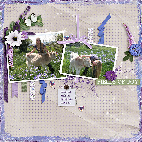 Fields of Lavender