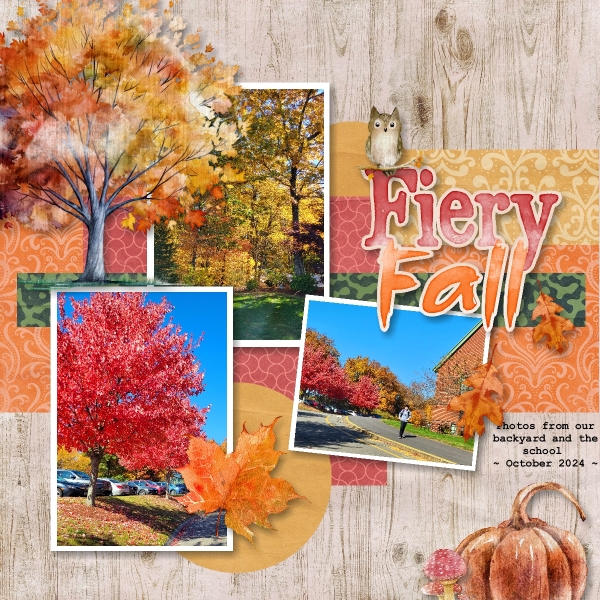 Fiery Fall -  October 2024