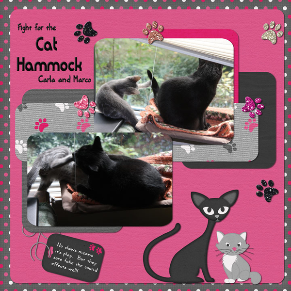 Fight for the Cat Hammock