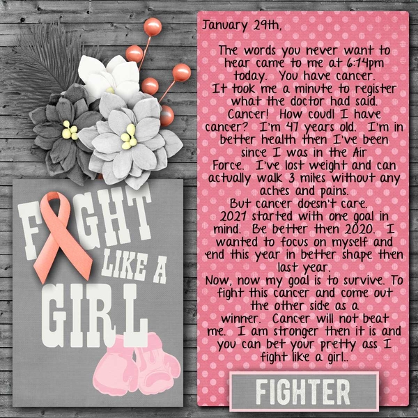 Fight Like A Girl