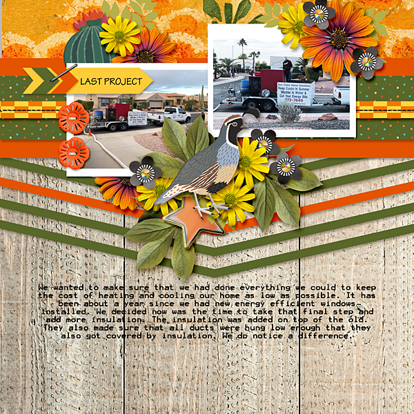 Final Project