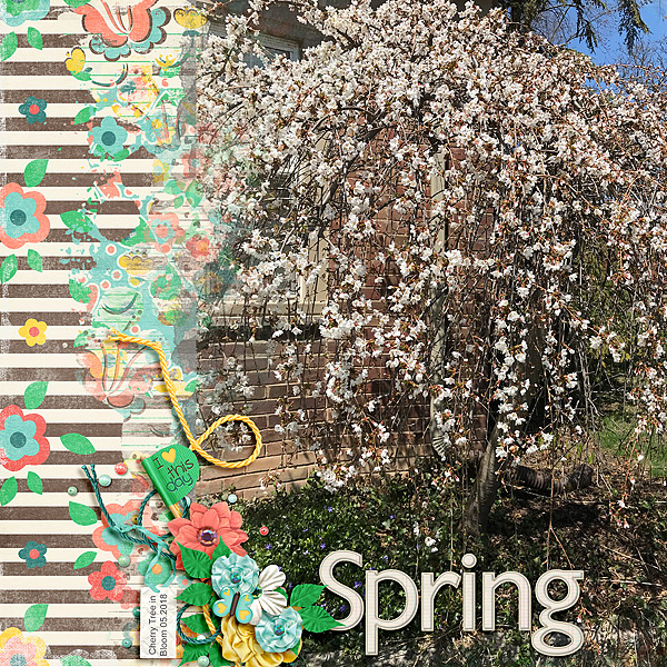 Finally Spring