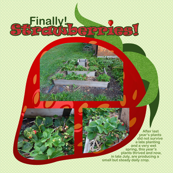 Finally Strawberries