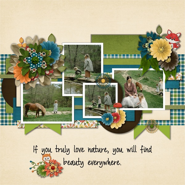 Find Beauty Everywhere