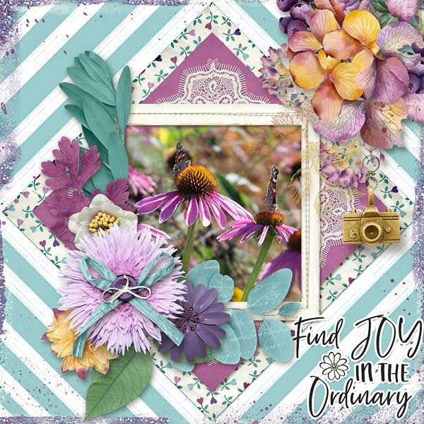 Find Joy In The Ordinary