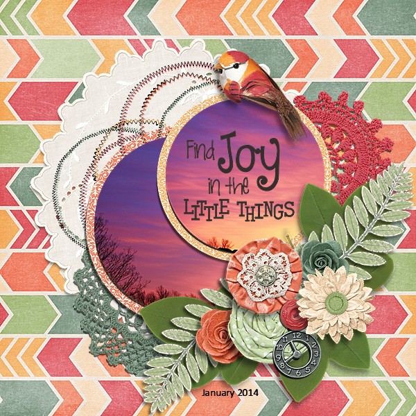 Find Joy January 2014