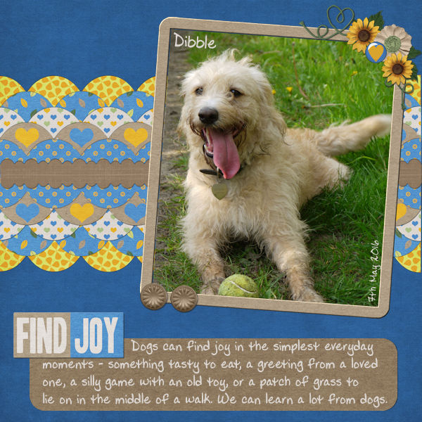 Find Joy