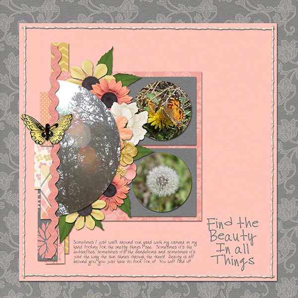 Find the Beauty in All Things