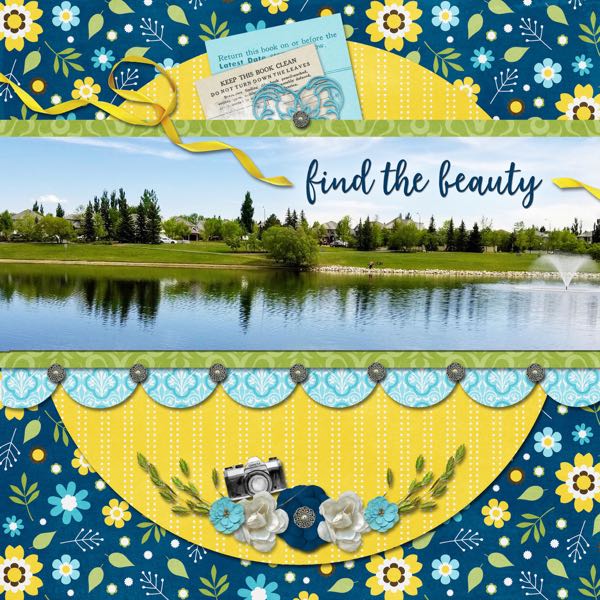 Find the Beauty