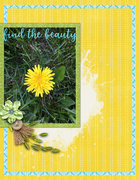 find the beauty