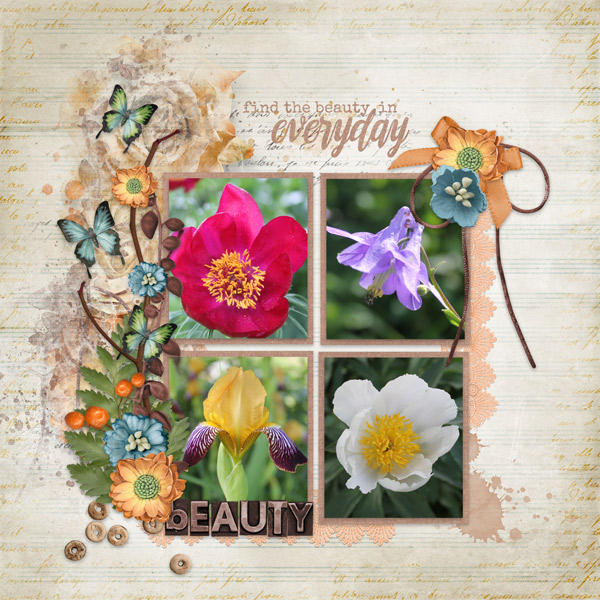 Find The Beauty