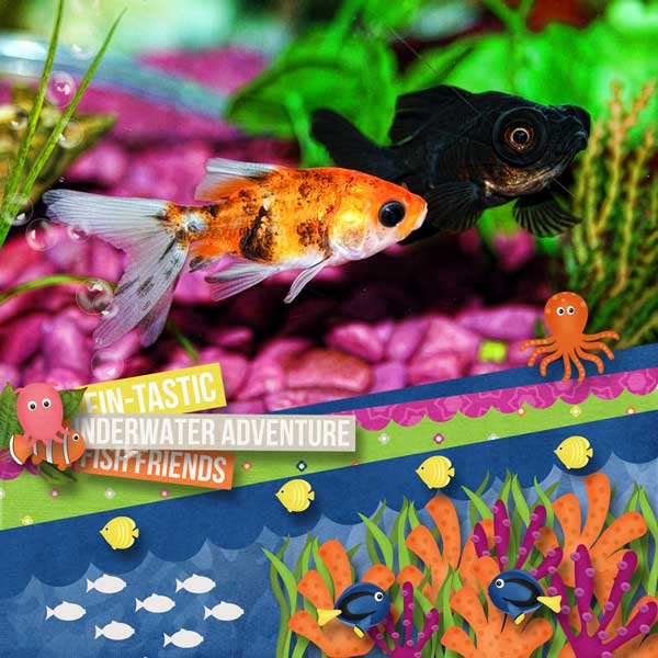 Find The Fish june buffet