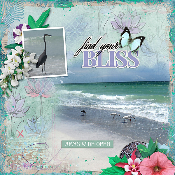 Find Your Bliss