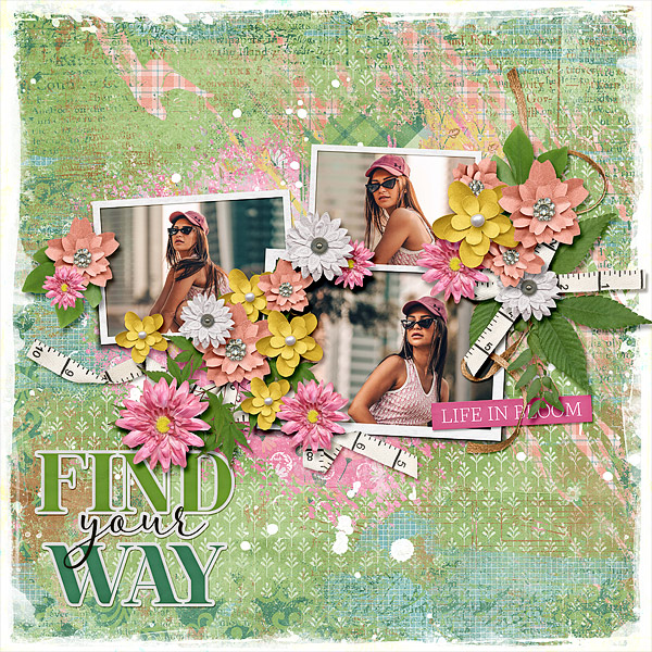 Find Your Way