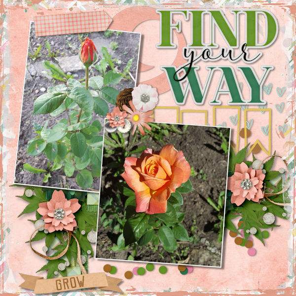 Find Your Way
