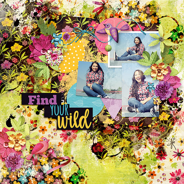 find your wild