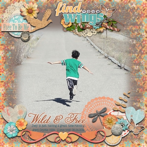Find Your Wings